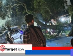 Respon Cepat Polres Gowa: Kemacetan Terurai Setelah Pohon Jambu Mente Tumbang