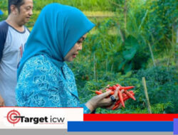 Usai Lantik TP PKK Bulukumpa, Andi Herfida Kunjungi Lokasi Gemoih di Desa Bulo Bulo