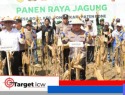 Kapolri dan Mentan Panen Raya Jagung di Bone, Tegaskan Komitmen Dukung Ketahanan Pangan Nasional