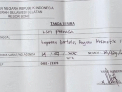 Kosmetik Tanpa Izin Edar Lolos Bebas di Bone, Siapa Dalangnya?