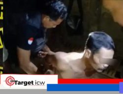 Polisi Ringkus Residivis Pencuri Sapi di Bulukumba, Tiga Ekor Sapi Disita