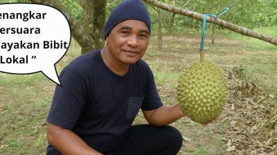 Bibit Lokal Sudah Bersertifikat, Mengapa Pemerintah Masih Pilih dari Luar Daerah?