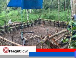 Operasi Siang Hari, Polisi Bubarkan Judi Sabung Ayam di Bulukumpa