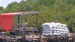 Penjarahan Mangrove di Tanakeke Terus Terjadi, Abrasi Makin Menggila