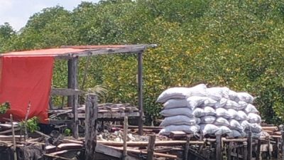 Penjarahan Mangrove di Tanakeke Terus Terjadi, Abrasi Makin Menggila