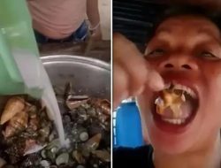 Demi Konten Makanan Laut, Influencer 51 Tahun Tewas Dua Hari Setelah Menyantap Devil Crab