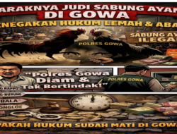 Sabung Ayam Terorganisir, Penegakan Hukum di Gowa Dipertanyakan