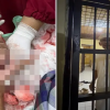 Ironi Tokoh Kampung Jeneponto, Dikeroyok hingga Tangan Nyaris Putus lalu Masuk Penjara