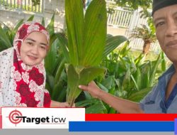 Program Ketahanan Pangan Desa Bontobiraeng Disambut Positif Warga, Kades Pastikan Penyaluran Sesuai Prosedur