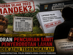 Tiga Tahun Berlalu, Laporan Dugaan Pencurian Sawit di Konsel Masih Jadi Tanda Tanya